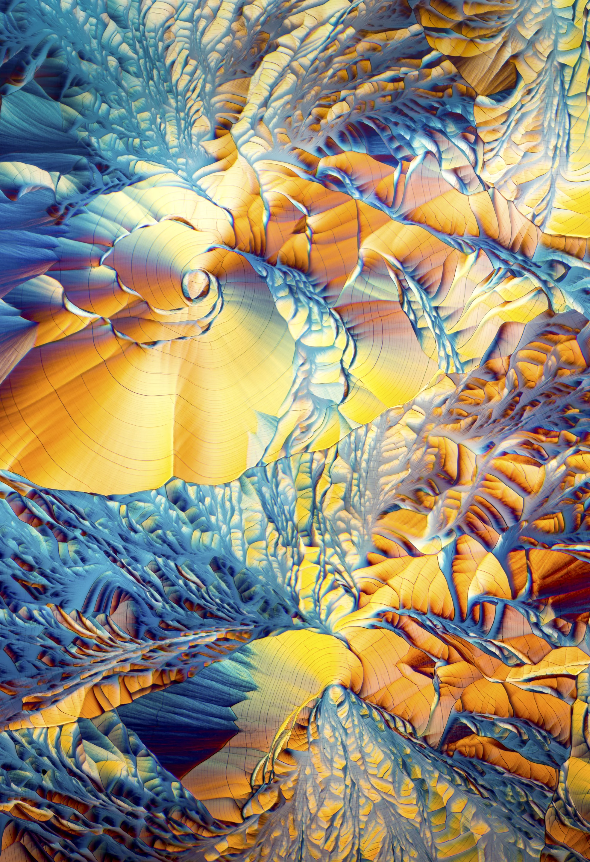 L-Glutamine and Beta alanine