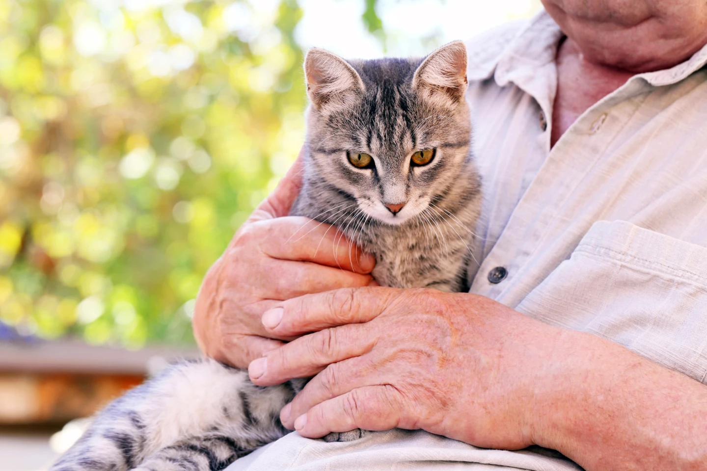 The Pets and People program is a cost-effective way of improving well-being and quality of life