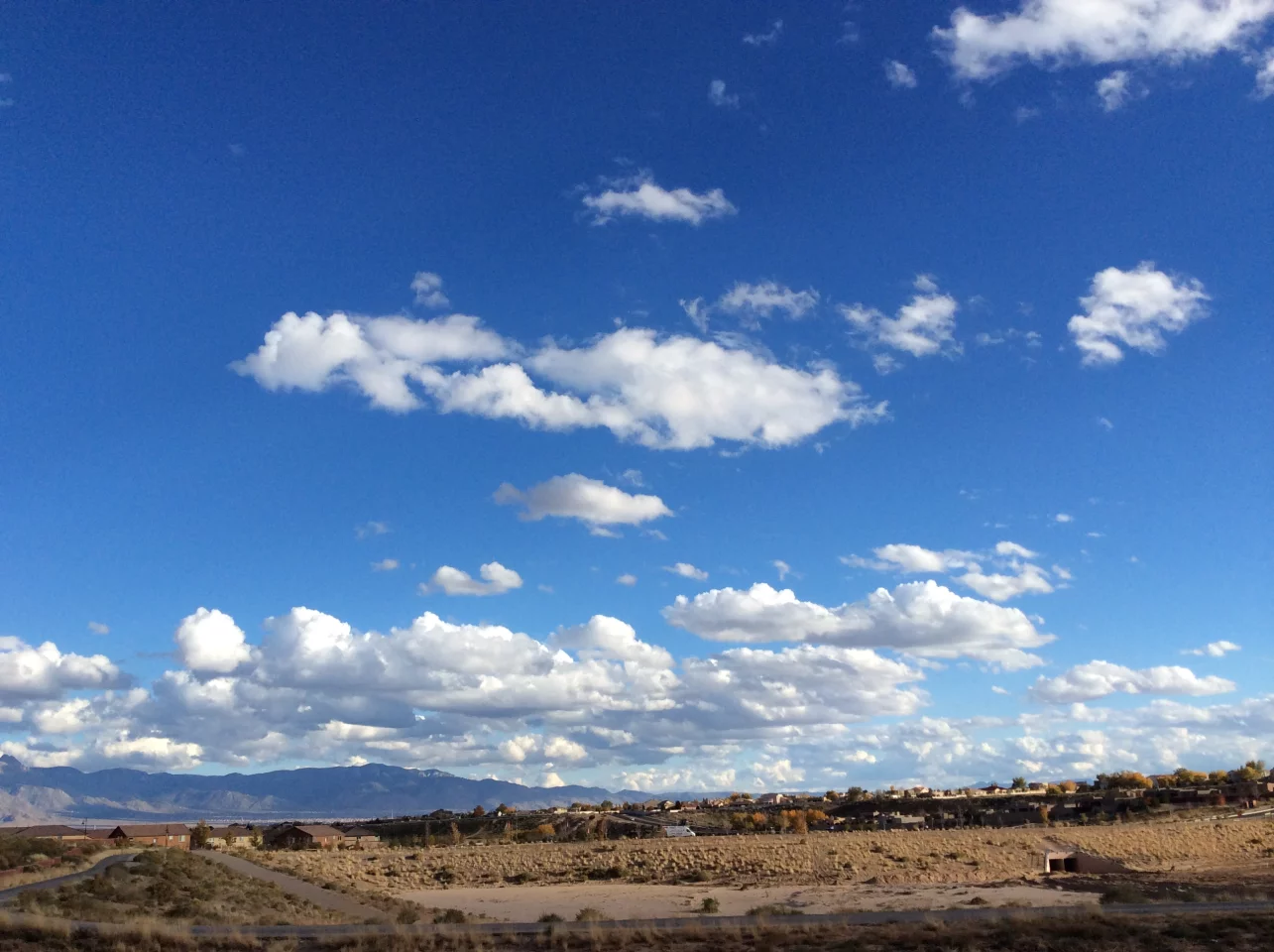 Sample outdoor shot with rear camera