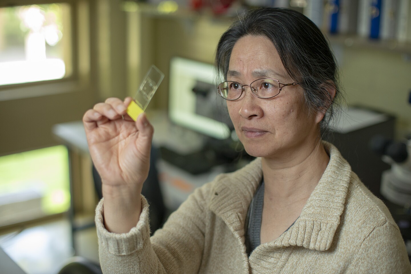 Professor Li Liu, inspecting ancient grain traces