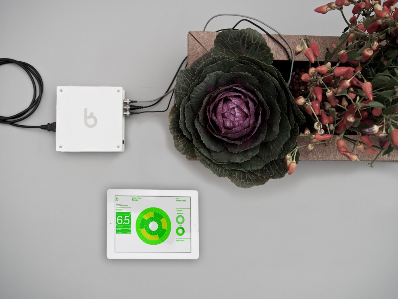 Bitponics monitors and assists your garden