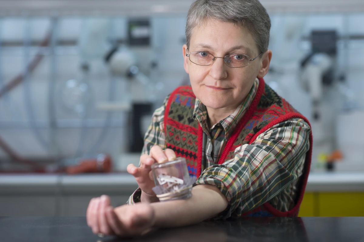 Regine Gries has had to endure approximately 180,000 bedbug bites in the course of the research – fortunately, she doesn't experience the allergic reaction suffered by most people