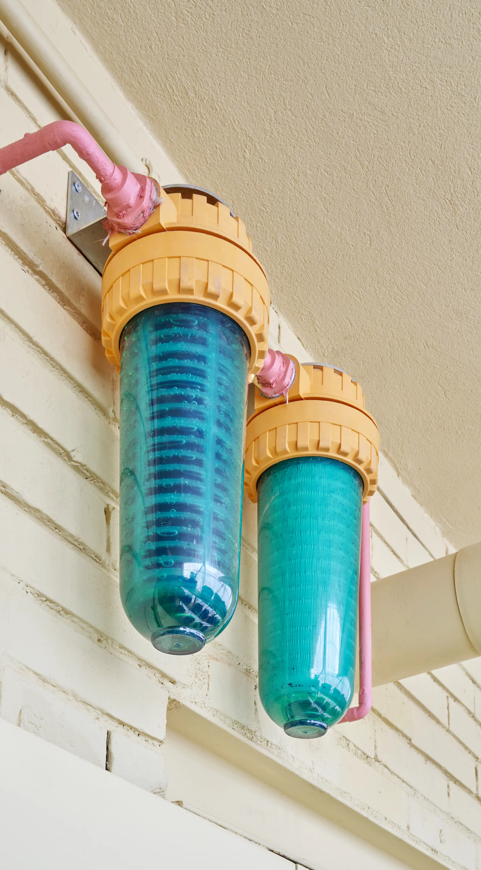 The apartment's indoor garden is irrigated by greywater recycled from the shower