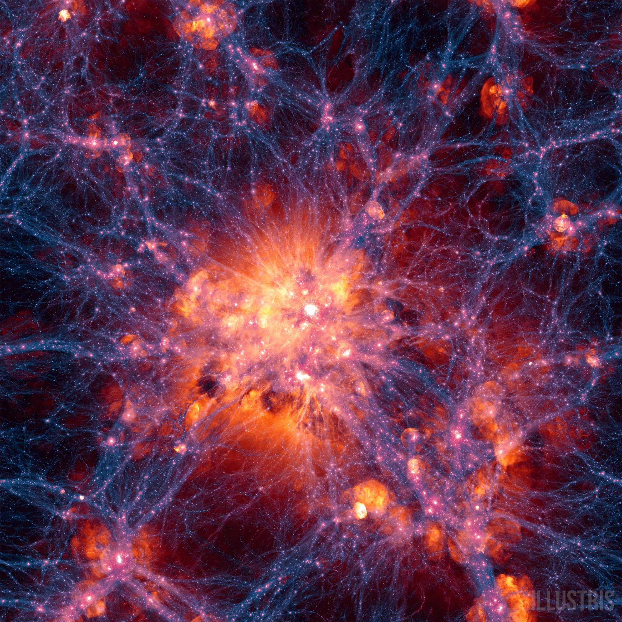 Illustris simulation still frame centered on the most massive galaxy cluster existing today, with dark matter shown as blue-purple filaments and bubbles of red, orange and white indicating gas being blasted outward by supernovae or jets from supermassive black holes (Image: Illustris Collaboration)