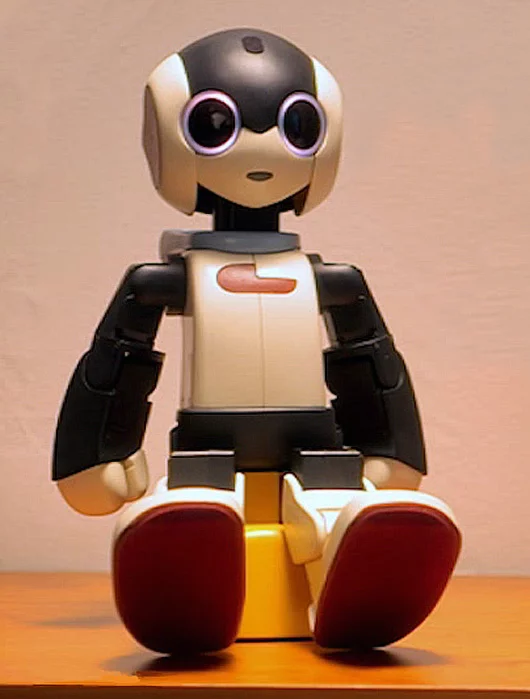 Robi sits on its charging station