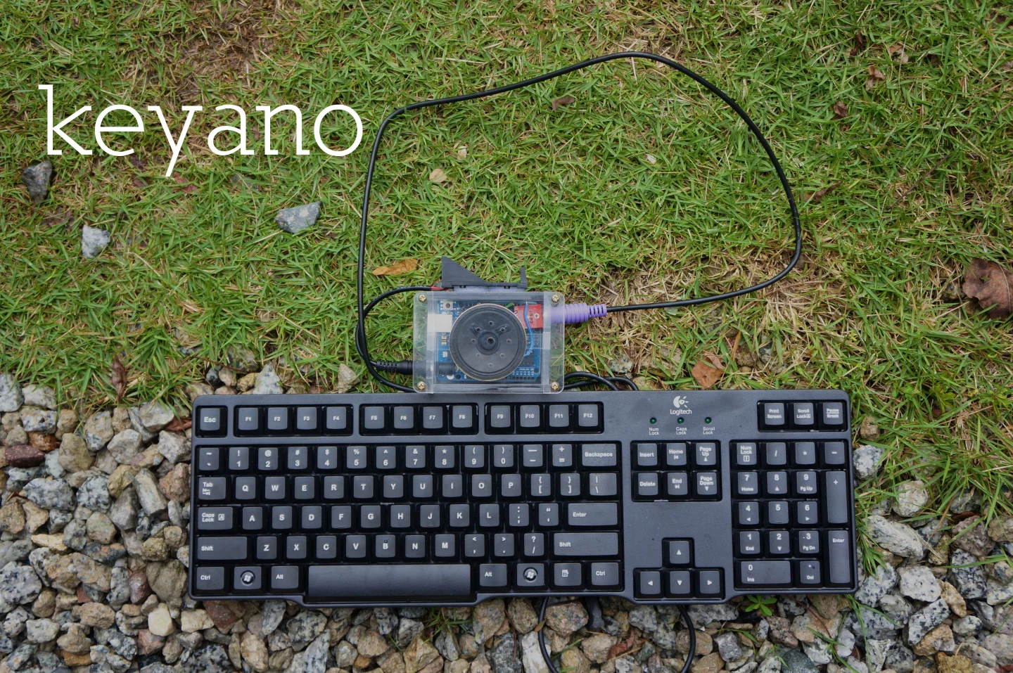 The Keyano module features a small speaker and connects to a PS/2 computer keyboard that's had each of its keys mapped to a different sound