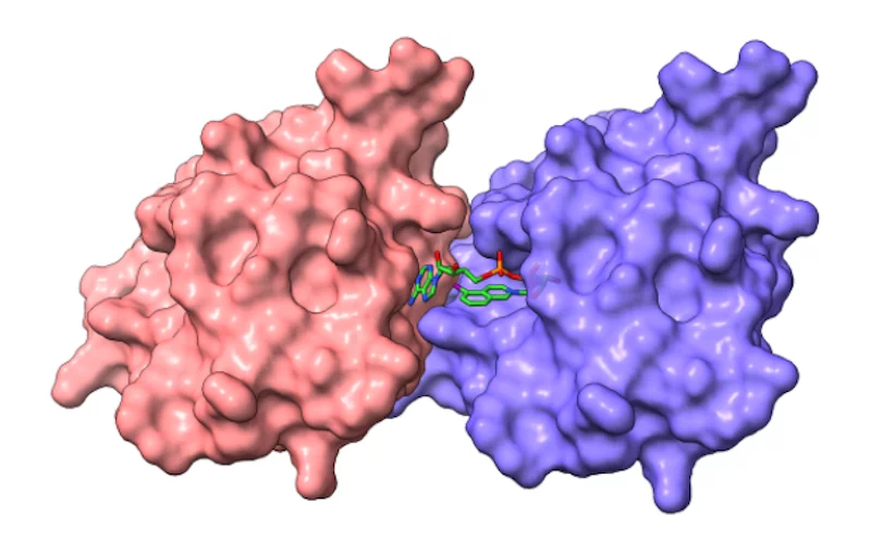 A molecular model of the structure of SARM1 and its inhibitor