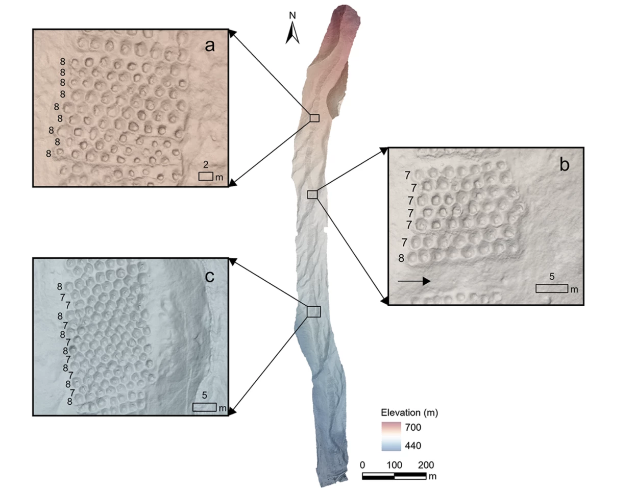A digital elevation model overlaid on an orthomosaic of Monte Sierpe reveals layout patterns within sections a, b and c. Black numbers indicate counts of holes east to west; black arrow in b marks space between sections