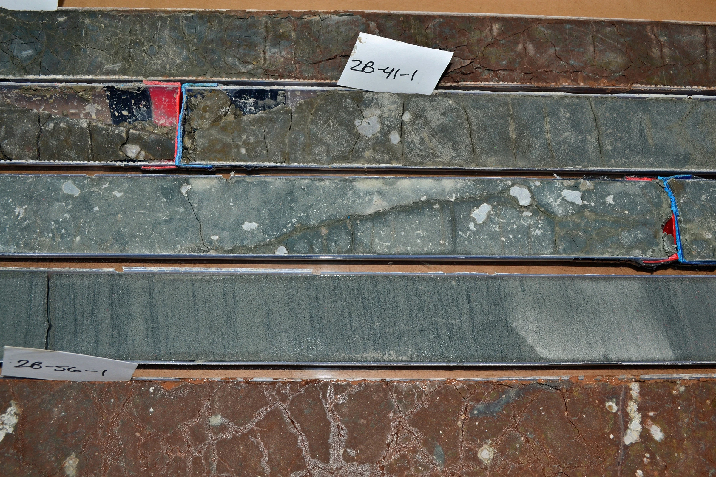 Gray, roundish nodules of carbonate or limestone in sediment cores drilled from northern Wyoming (Photo: Bianca Maibauer, University of Utah)