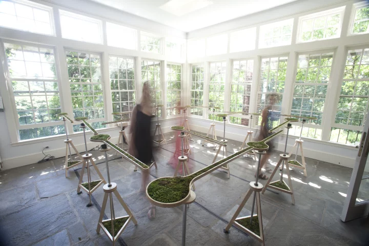 "Landscape Abbreviated" by Nova Jiang