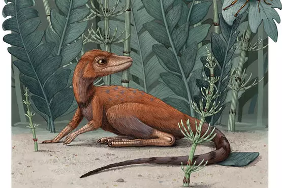 Kongonaphon kely in what would have been its natural environment about 237 million years ago