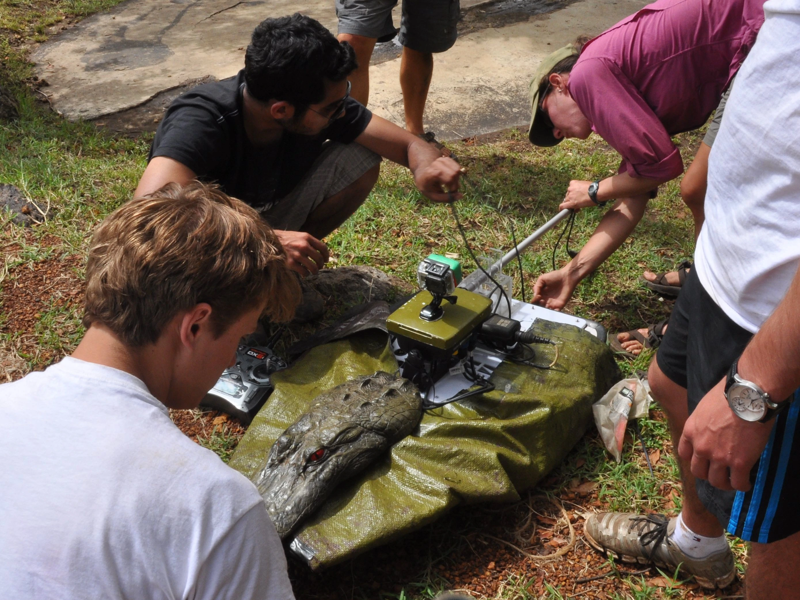 One of the three Lutra airboats used in the study