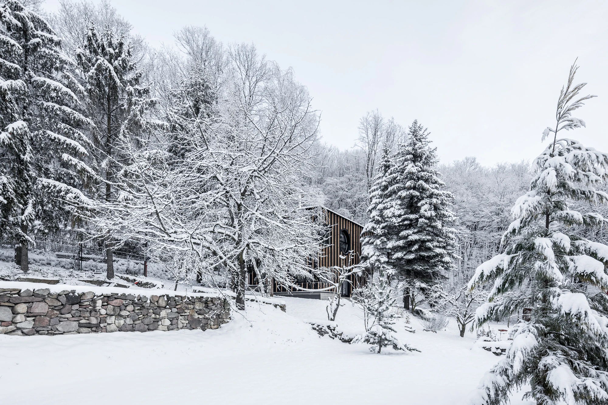 Black Magic House is based in a forest on the outskirts of Budapest (Photo: Zsolt Batár)