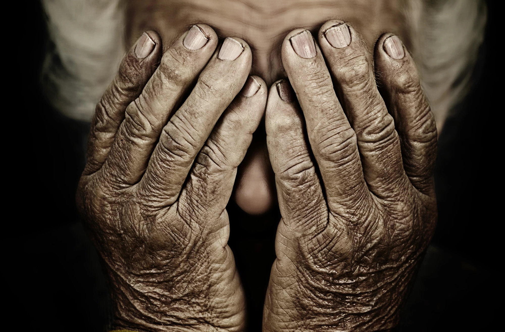 A new study has found that people aged over 110 have high numbers of certain immune cells