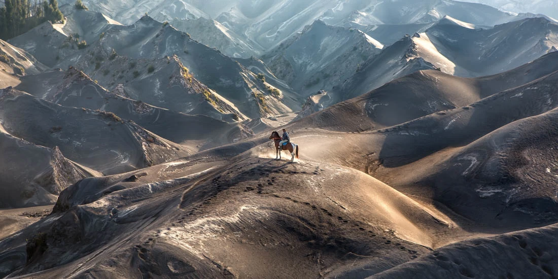 A highlight from the top 50 images in the Amateur, Nature category