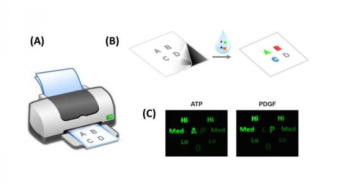 Inkjet printers could produce paper sensors that identify dangerous food and water contaminants