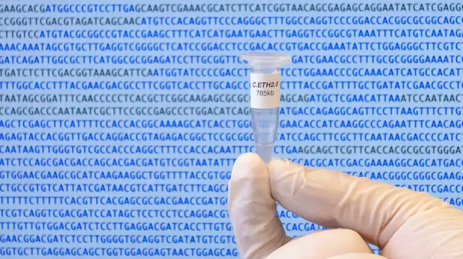 Scientists have created the first computer-generated genome of a living organism