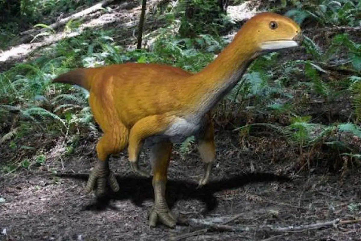 The recently-discovered Chilesaurus is made up of a weird mishmash of body parts from different types of dinosaurs