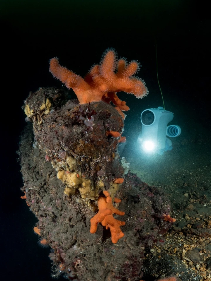 The Blueye Pioneer has a thin communications cable running up to a buoy that is towed along on the surface
