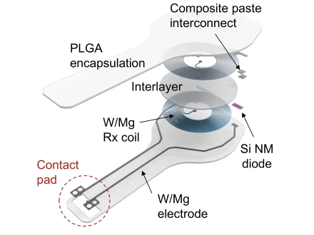 World's first transient pacemaker dissolves in the body after use