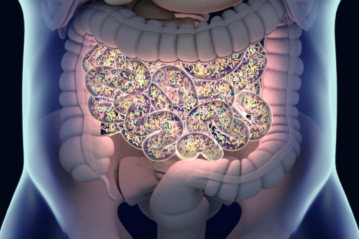 A new study has shown that probiotics can evolve in the gut and potentially turn against the host