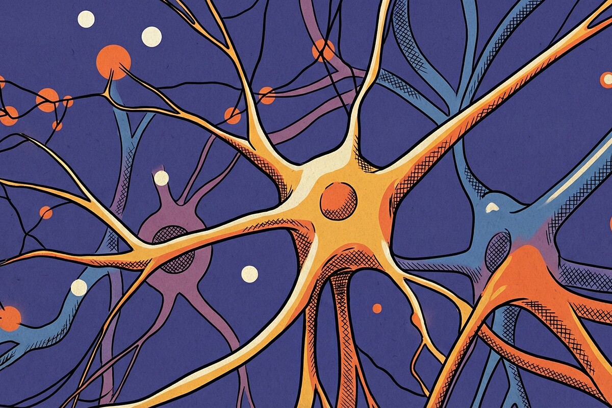 Newly discovered 'pain switch' could unlock safer medications