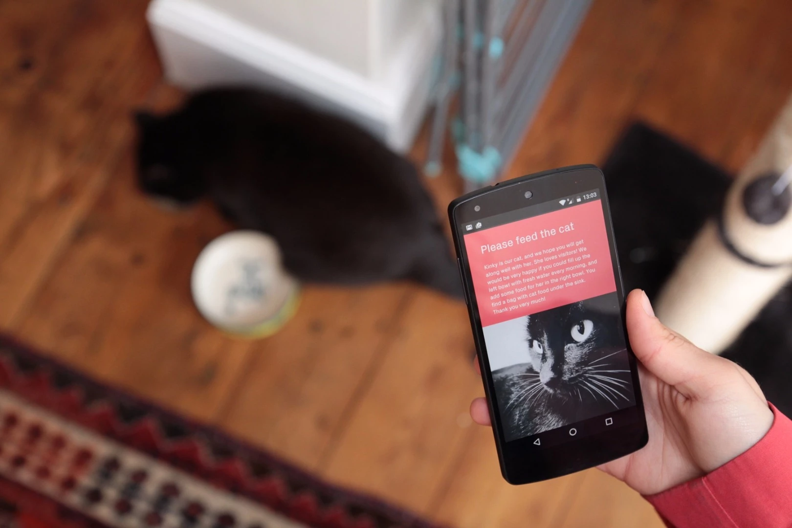 Information can be provided using a variety of formats, like text, images, audio and video