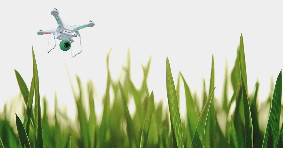 Could autonomous Watchdog 1's one day hover over streets and public parks on the lookout for fresh droppings?