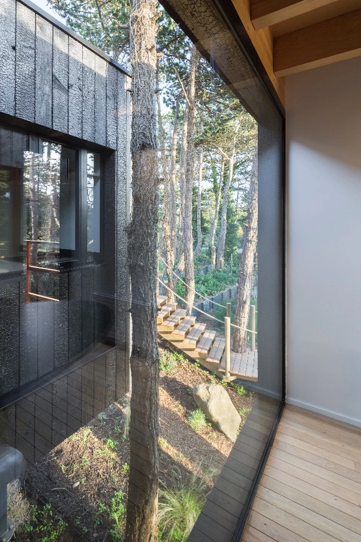 Treehouse is situated on a slope