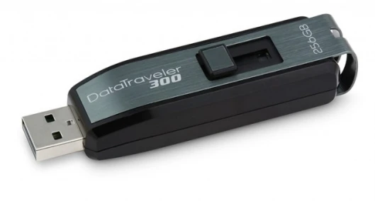 Kingston DT300 256GB Flash drive
