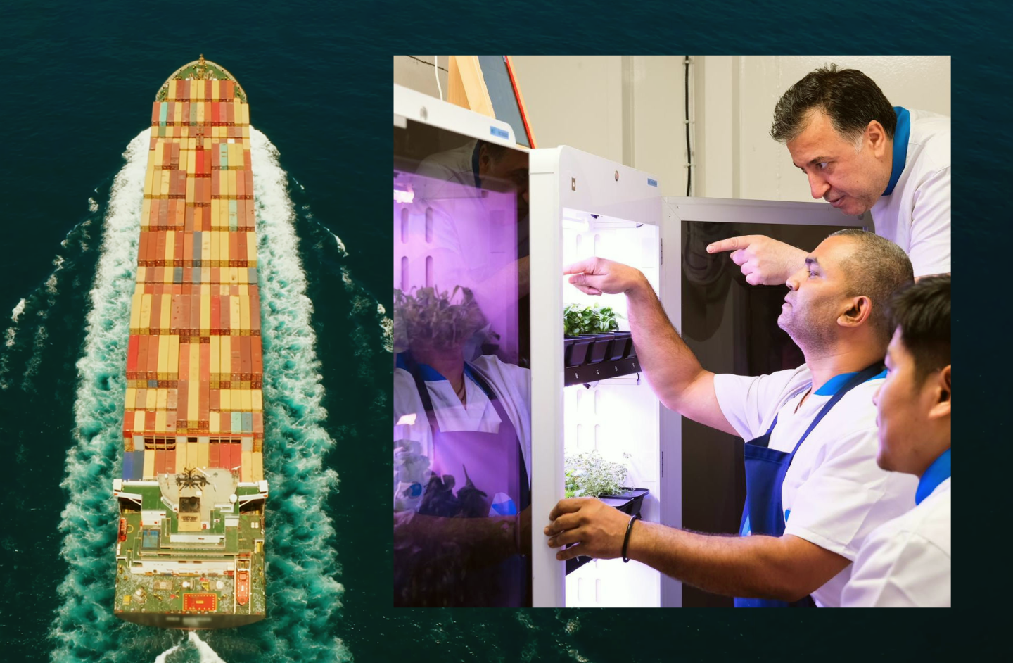 AGWA didn't take long to find a marketplace with massive latent demand. Shipping is an invisible but very large industry, carrying 80% of all international trade. The maritime industry has embraced the AGWA's ability to offer its crews a reliable, safe and convenient supply of fresh vegetables onboard vessels. The alternative is to source fresh produce each time a ship docks, which is problematic and expensive.