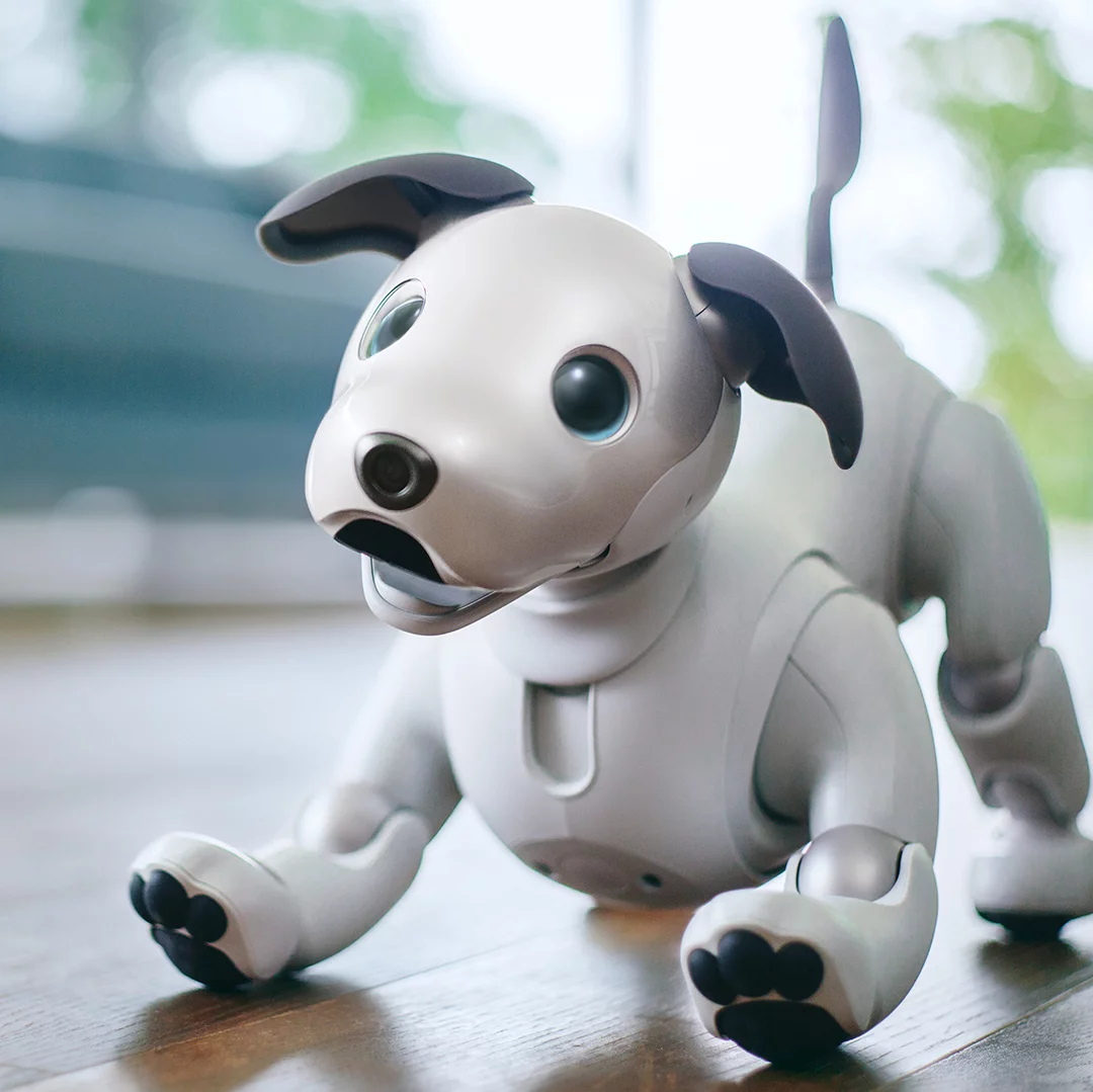 After more than 10 years in the dog house, Sony has brought back its aibo robot companion - albeit in Japan only