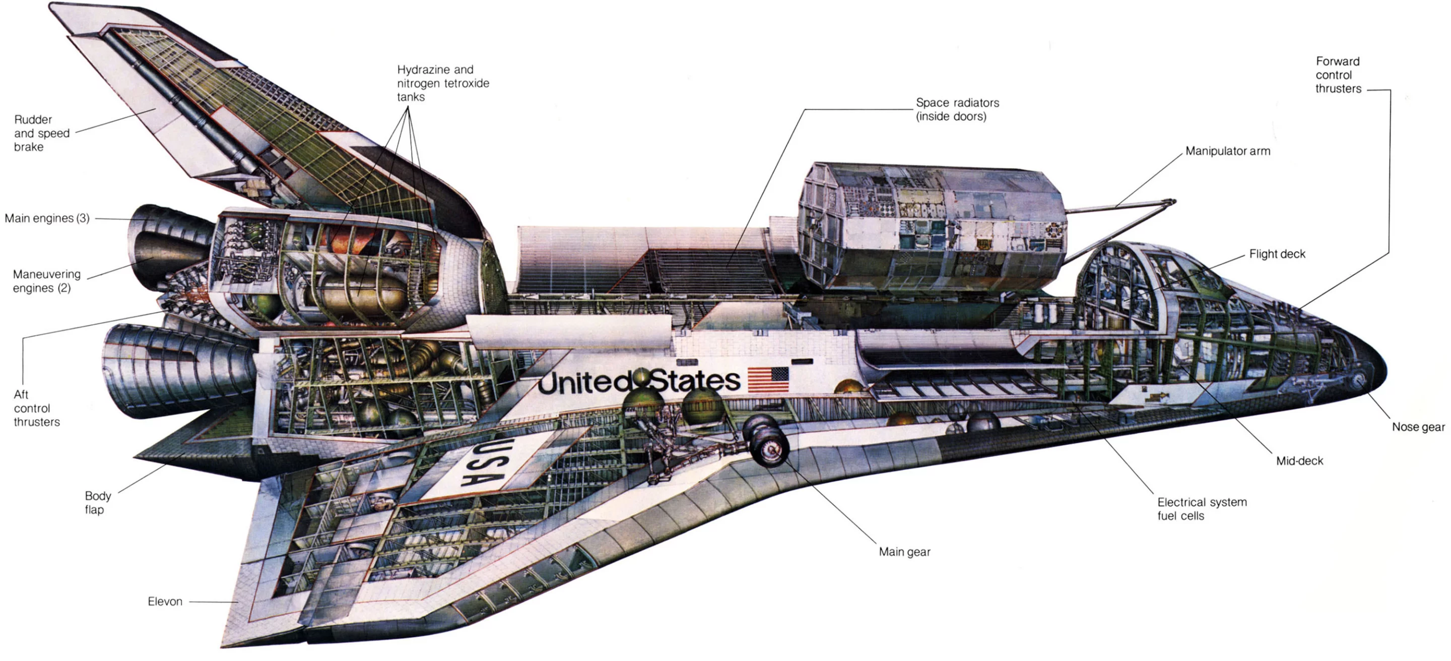 Cutaway illustration of the space shuttle (Image: NASA)