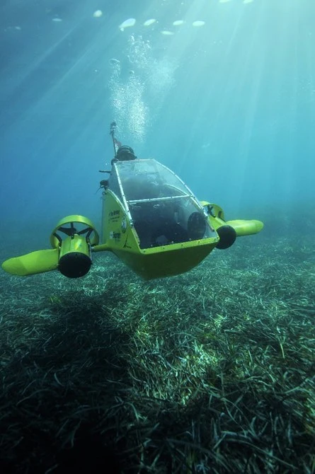 The Nemo is designed to roam for about two hours on a charge