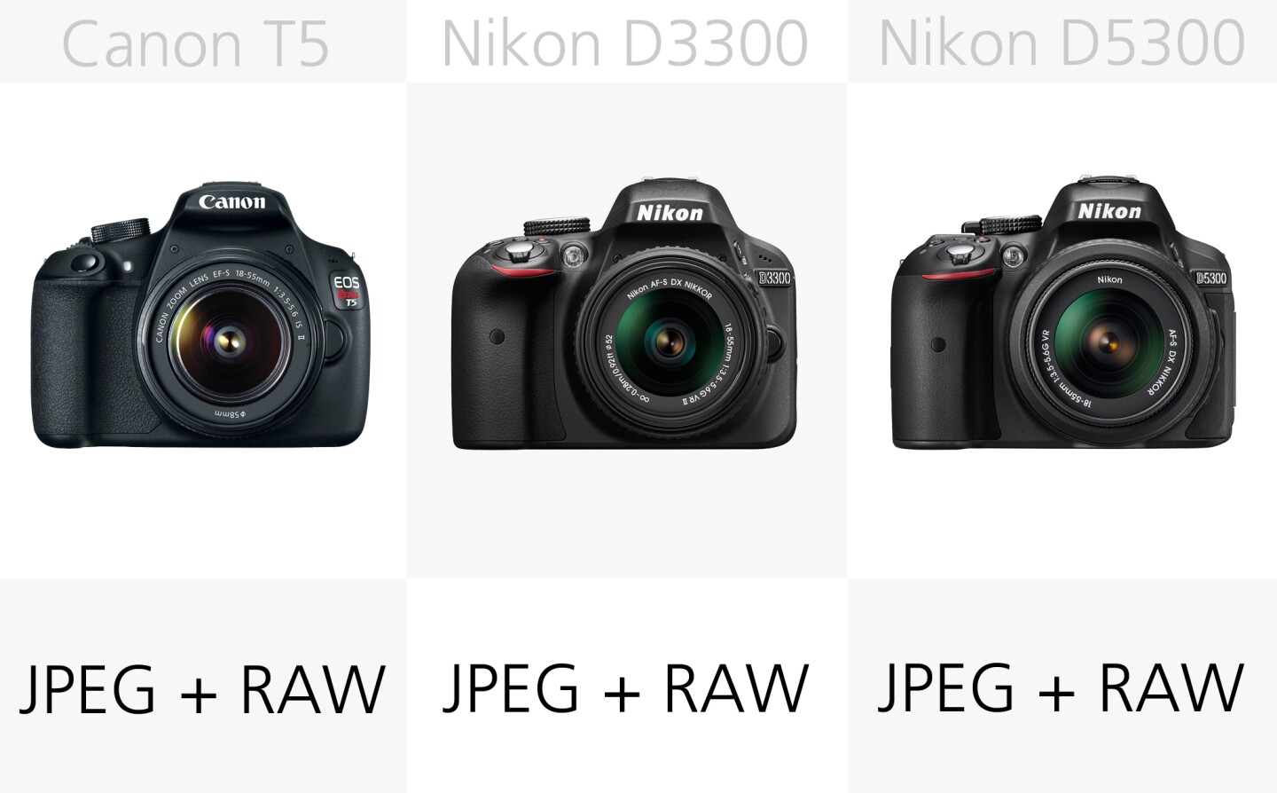All of these DSLRs can shoot both JPEG and the more post-processing friendly RAW still files