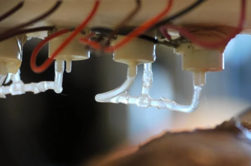 A close up view of the skin bioprinter nozzle developed by researchers at Wake Forest Institute for Regenerative Medicine