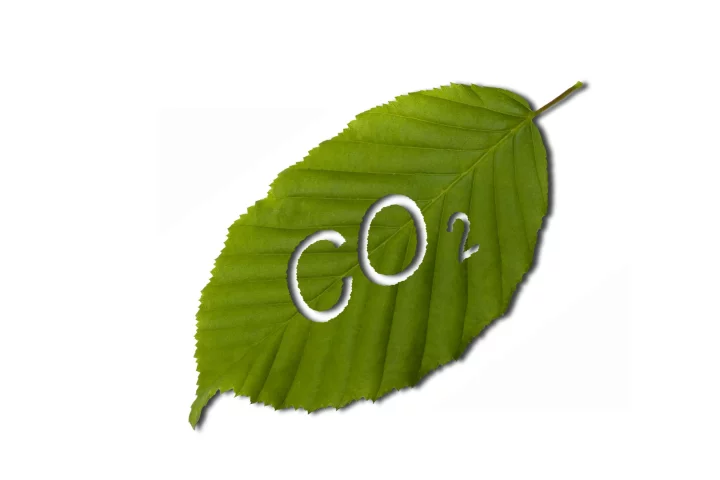 Inspired by the leaf, researchers have developed a molecule that uses sunlight to convert CO2 into CO