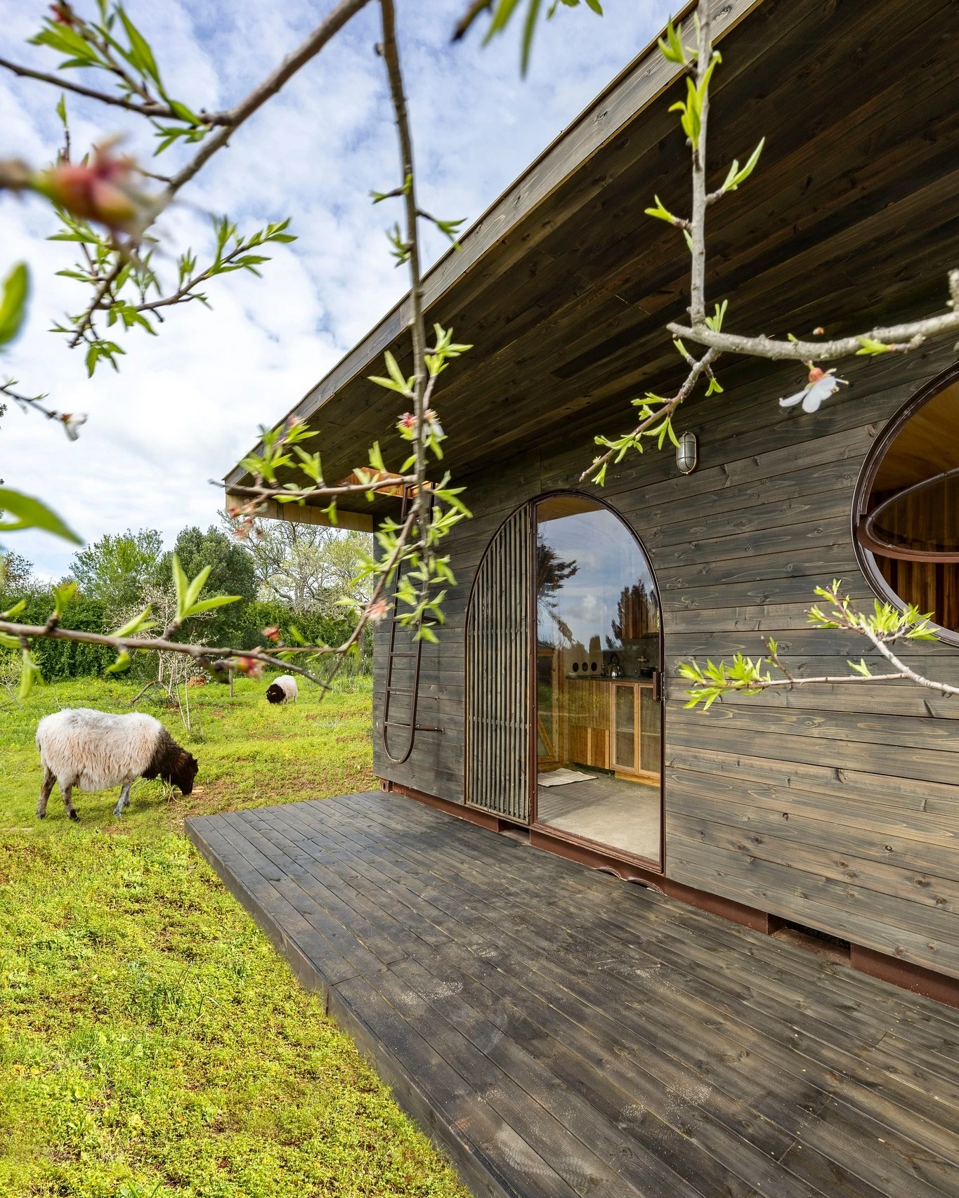 Cargo's rooftop terrace has a large overhang to help shelter the container's interior from the sun
