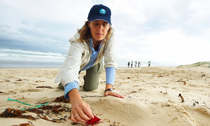 CSIRO's Dr. Denise Hardesty surveys one of the beaches included in the study