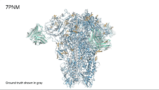 3D protein structure of the spike protein of a common cold virus generated by AlphaFold 3