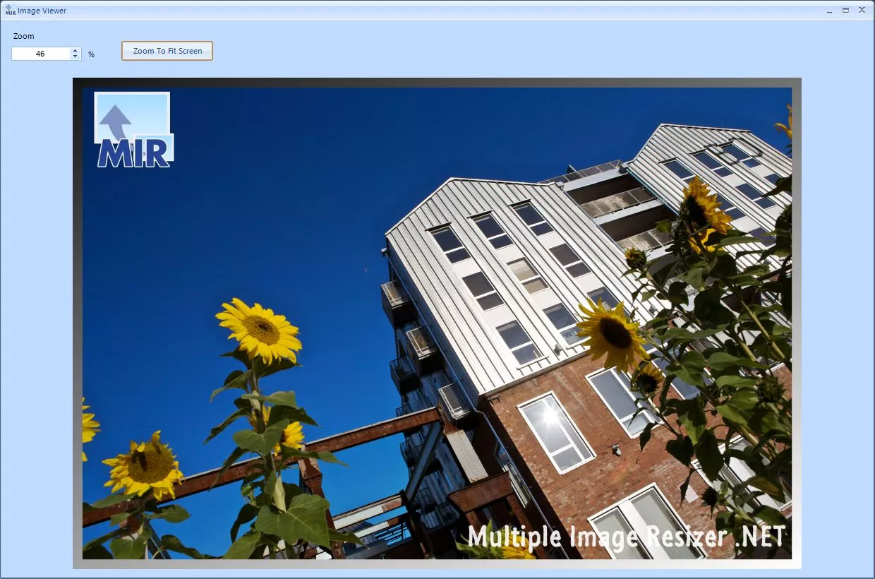 A view of the preview screen at full size