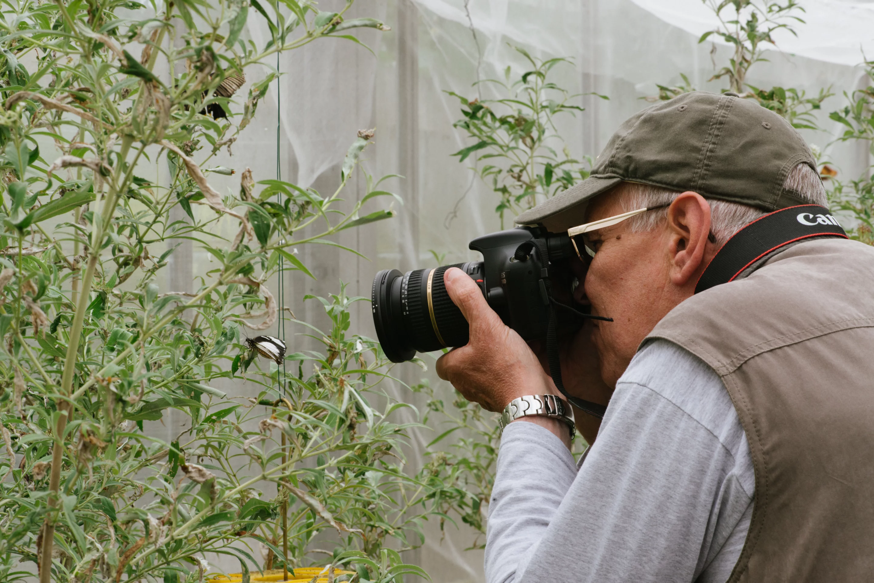 Macro lenses typically have focal lengths somewhere between 40-200 mm