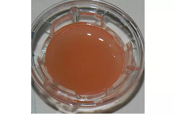 The University of Granada's fibrin-agarose artificial skin