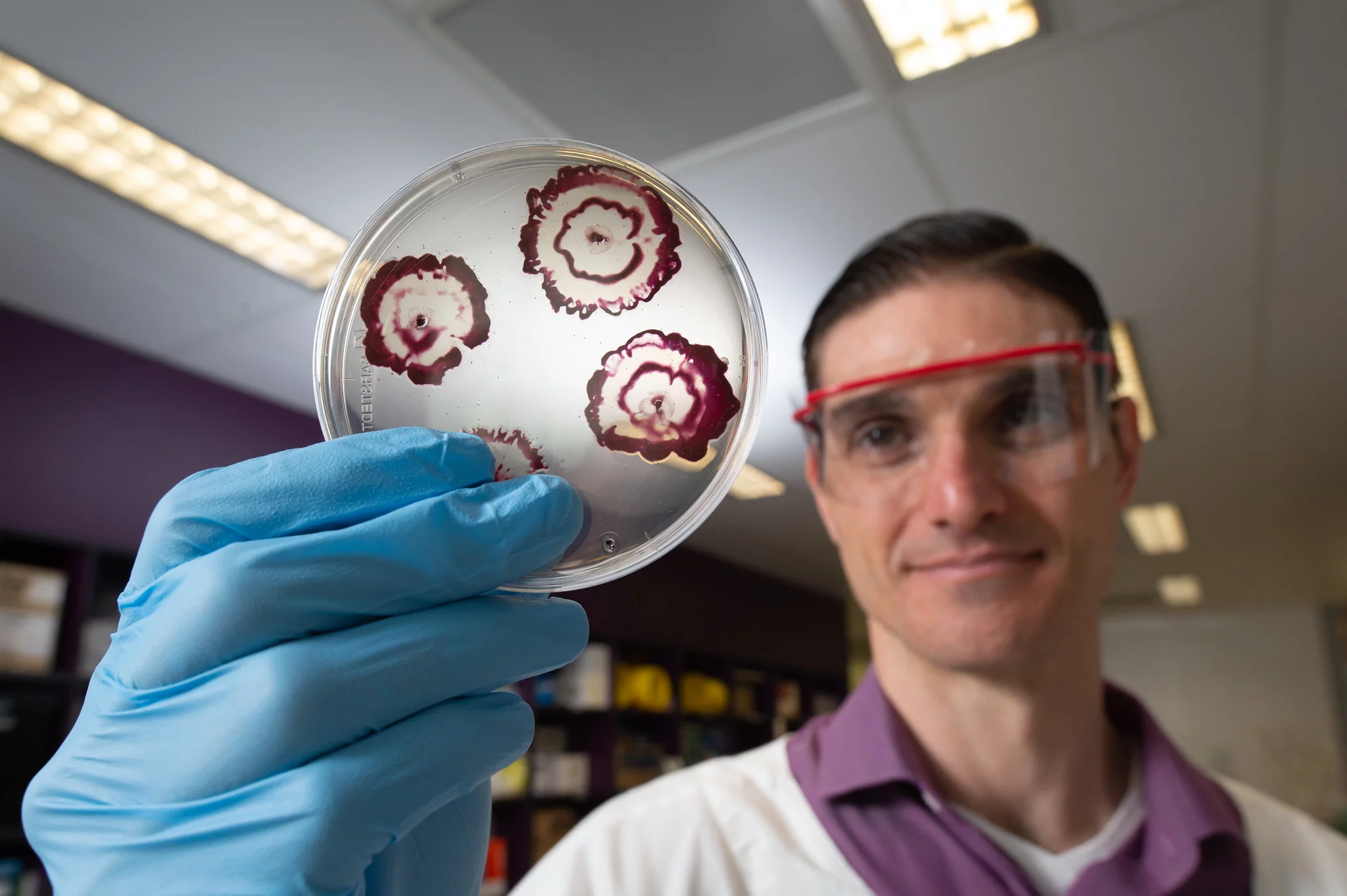 New hybrid antibiotics have been shown to blast through bacterial biofilms
