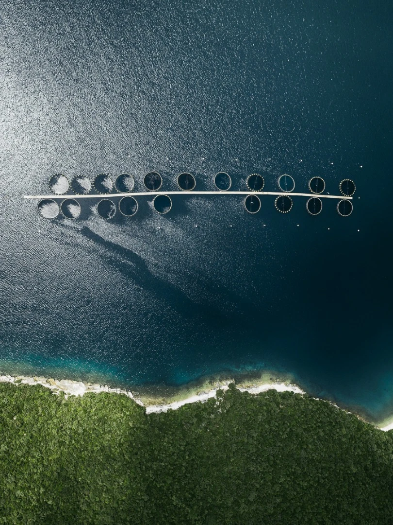 The Aquaculture Series: A look at fish farming in Croatia