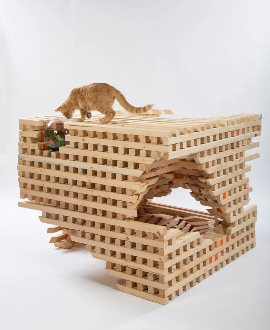 “Opportunity and instinct are the primary tools foremost afforded the feral cat, as it attempt to carve out its own place within the city," says HOK about its design the catSCAPE