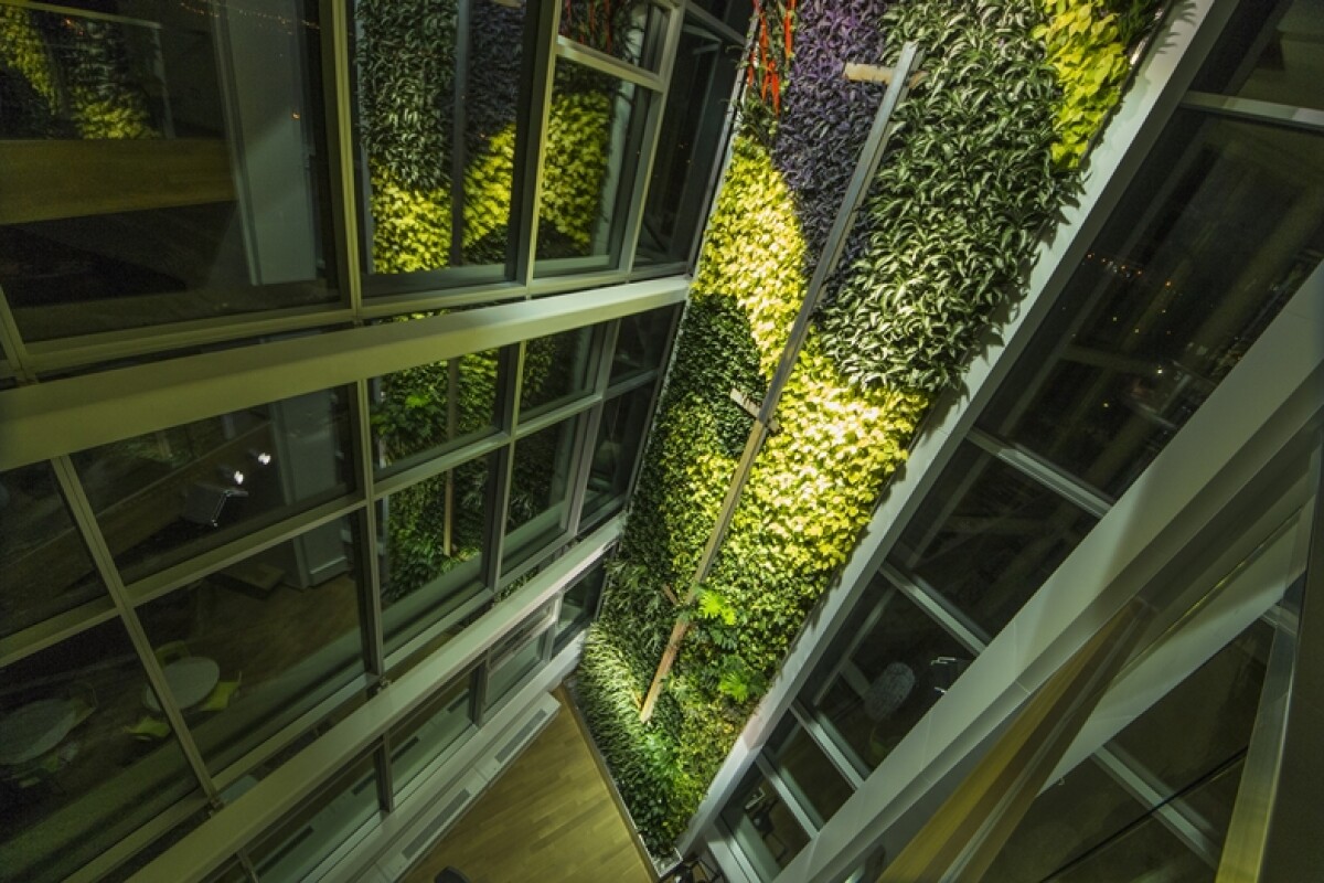 "World's tallest" interior living wall unveiled in Quebec