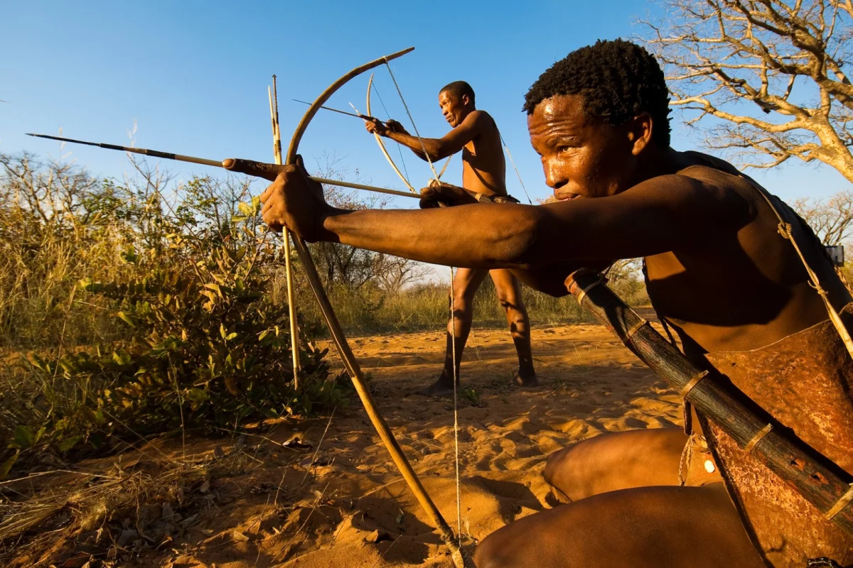 A poison used on arrow tips by ancient African tribes is inspiring a new compound that could herald a male contraceptive pill