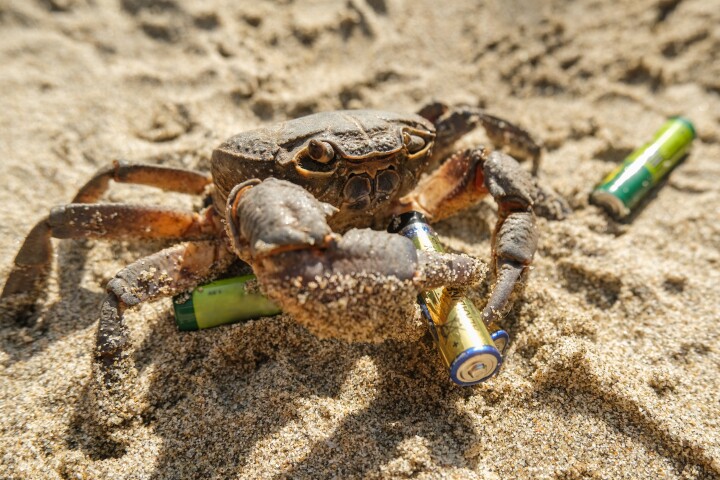 Clawsome: Crab-shell anodes help power sodium-ion batteries