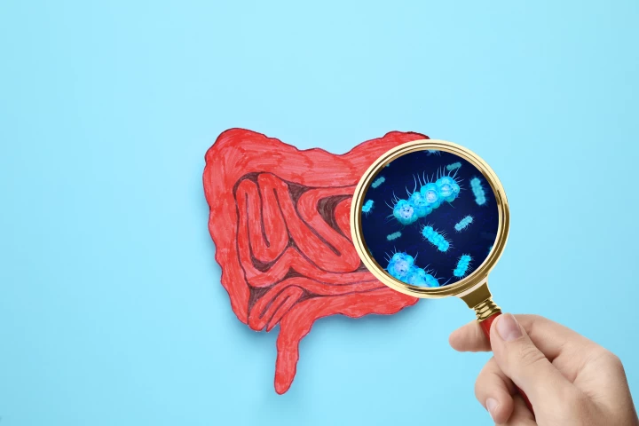 New research looked at how a common food additive used as an emulsifier influences the gut microbiome